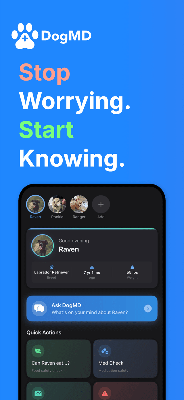 DogMD — home screen