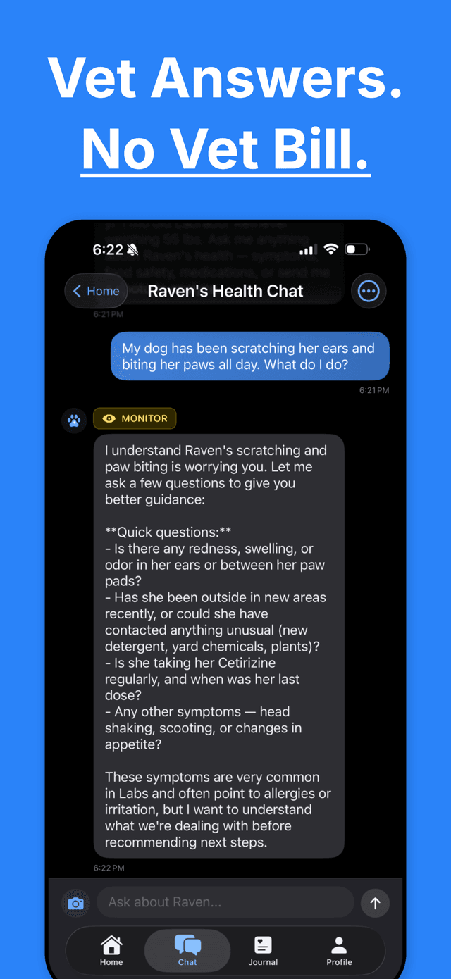 DogMD — symptom analysis