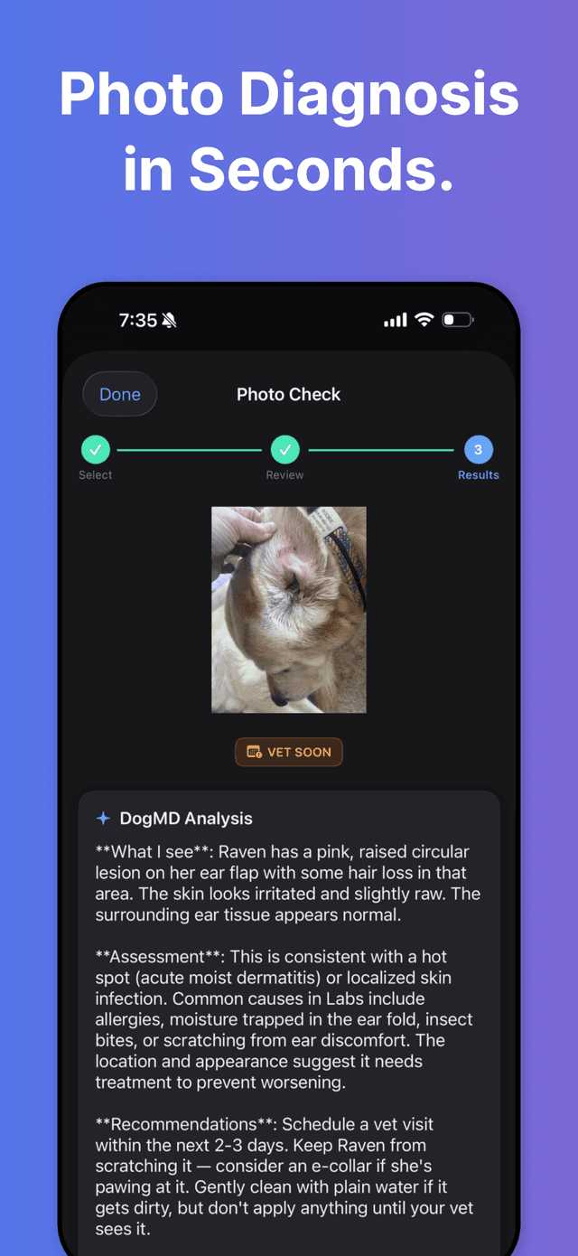 DogMD — health results
