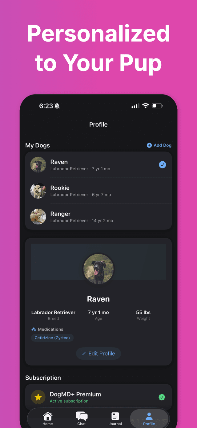 DogMD — emergency guidance