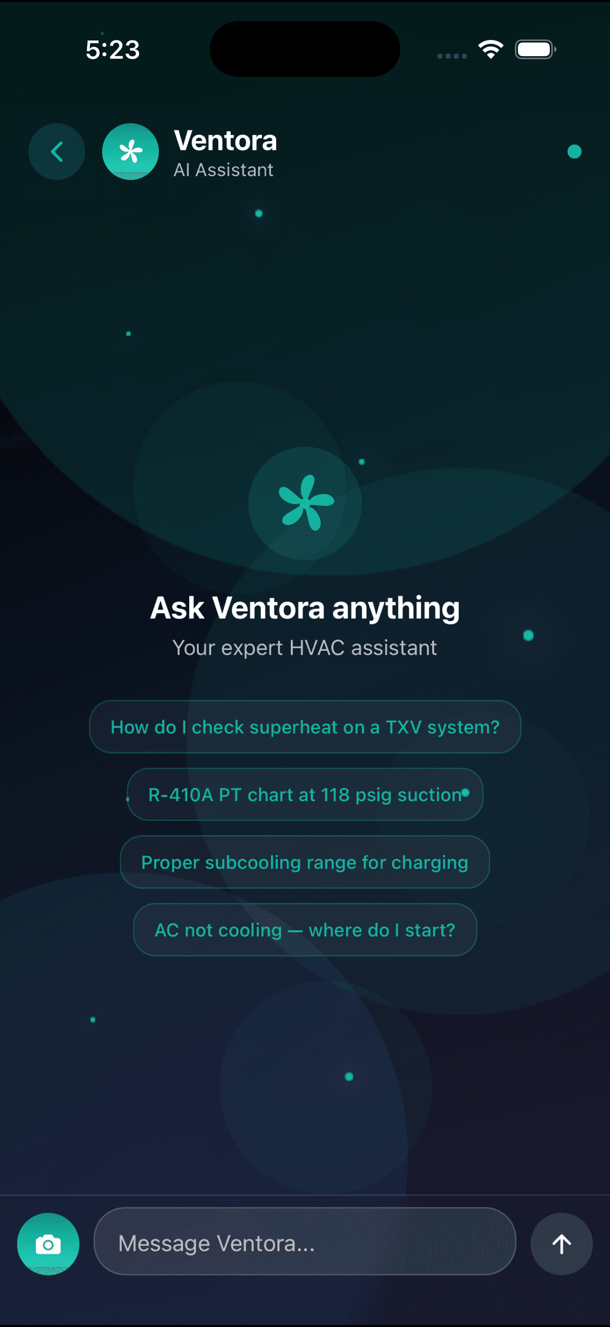 Ventora — AI chat suggested questions